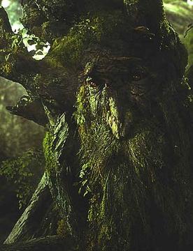 Treebeard.